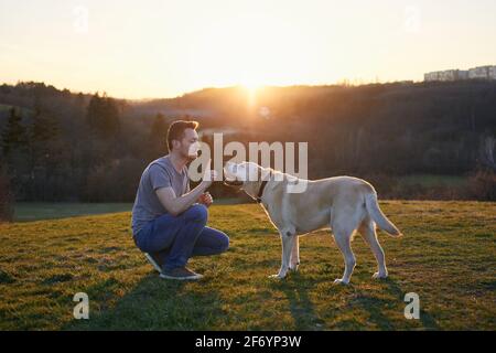 Homme enseignant son chien. Propriétaire d'animaux avec labrador Retriever sur la prairie au coucher du soleil. Banque D'Images