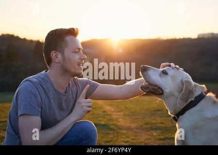 Homme enseignant son chien. Propriétaire d'animaux avec labrador Retriever sur la prairie au coucher du soleil. Banque D'Images