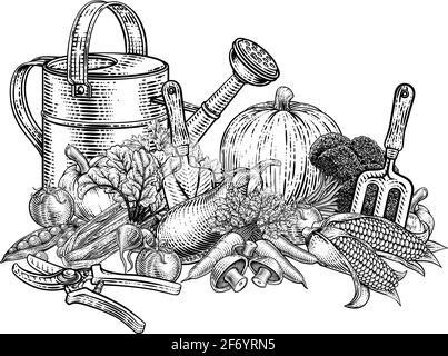 Outils de jardinage légumes produisent du bois d'époque Illustration de Vecteur