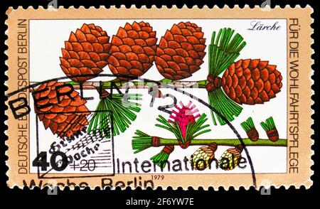 MOSCOU, RUSSIE - 18 JANVIER 2021: Timbre-poste imprimé en Allemagne, Berlin, montre Larch, bien-être: Feuilles, fleurs et fruits de la série forestière, cir Banque D'Images