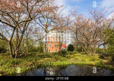 Mülheim an der Ruhr, Allemagne. 3 avril 2021. Le temps printanier avec des cerisiers en fleurs dans le parc MüGa. En arrière-plan appareil photo Obscura avec le Musée de la Préhistoire du film. Photo: 51North/Alamy Live News Banque D'Images