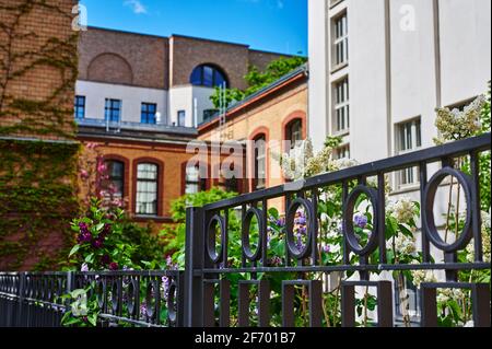 Vue de bâtiments dans une cour près de la rivière Spree dans le centre-ville de Berlin, Allemagne. Le foyer se trouve au milieu de la clôture, à l'avant de la photo Banque D'Images