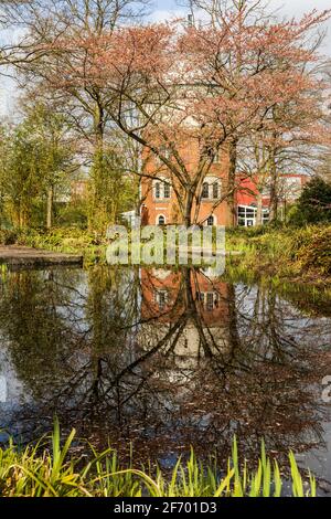 Mülheim an der Ruhr, Allemagne. 3 avril 2021. Le temps printanier avec des cerisiers en fleurs dans le parc MüGa. En arrière-plan appareil photo Obscura avec le Musée de la Préhistoire du film. Photo: 51North/Alamy Live News Banque D'Images