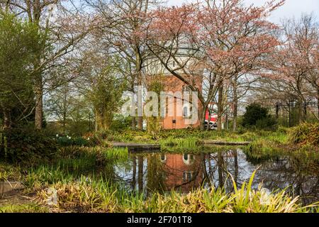 Mülheim an der Ruhr, Allemagne. 3 avril 2021. Le temps printanier avec des cerisiers en fleurs dans le parc MüGa. En arrière-plan appareil photo Obscura avec le Musée de la Préhistoire du film. Photo: 51North/Alamy Live News Banque D'Images