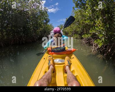 Pagayer à travers le marais de mangrove, Key Largo Florida, États-Unis Banque D'Images