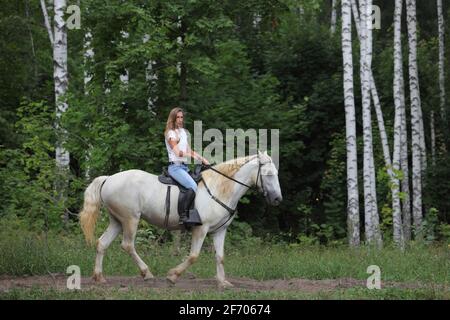 Fille modèle équestre cheval blanc andalou dans la forêt d'été Banque D'Images