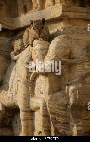 L'ensemble de l'Écureuil rampant de la sculpture sur pierre ornée de chevaux, Jagdish Temple, Udaipur, Rajasthan, Inde Banque D'Images