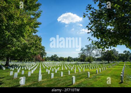 Des rangées de pierres à tête blanches encadrées par des arbres luxuriants et verts dans le cimetière national d'Arlington lors d'une journée d'été ensoleillée à Arlington, en Virginie Banque D'Images