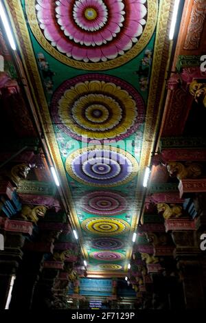 Vue sur le plafond peint du temple Meenakshi à Madurai, Tamil Nadu, Inde, Asie Banque D'Images