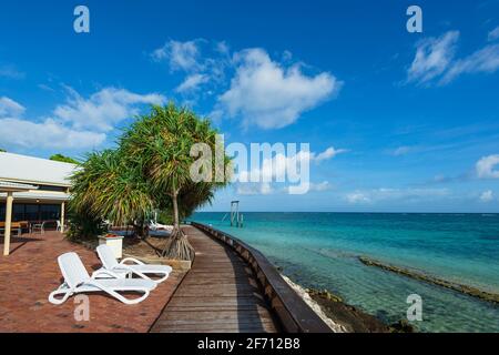Chaises longues donnant sur les eaux turquoise de Heron Island, Grande barrière de corail du sud, Queensland, Queensland, Australie Banque D'Images