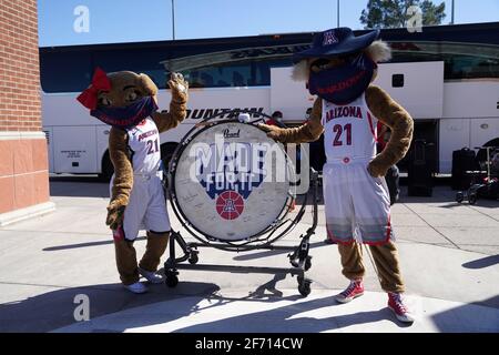 Les mascottes Arizona Wildcats Wilbur et Wilma accueillent l'équipe féminine de basket-ball avant leur départ pour le tournoi Pac-12, le mardi 2 mars 2021 Banque D'Images