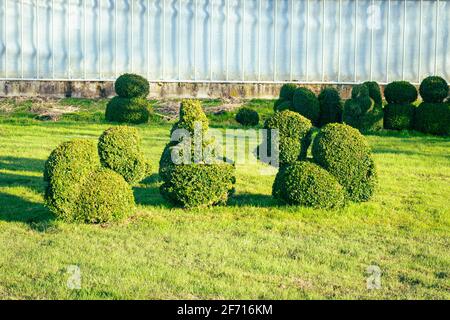 Jardin avec buxus ou buxus plantes, coupé en forme d'animaux Banque D'Images