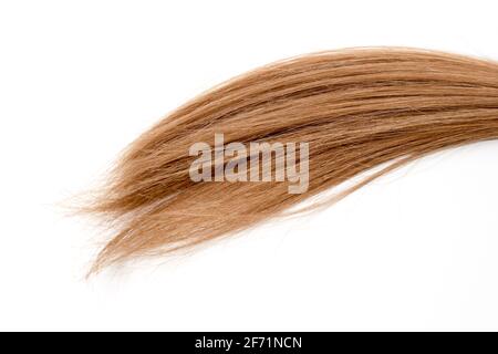 morceau de cheveux bruns sur fond blanc isolé. Banque D'Images
