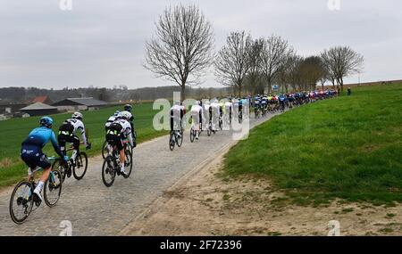 L'illustration montre le groupe de cavaliers en action pendant La 105e édition du 'ronde van Vlaanderen - Tour Des Flandres - visite des Flandres Banque D'Images