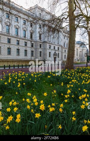Angleterre, Londres, Westminster, Whitehall, St. James's Park et HM Treasury Building au printemps Banque D'Images