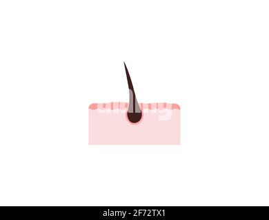 Cheveux, follicules pileux, icône de racine. Illustration vectorielle. Illustration de Vecteur