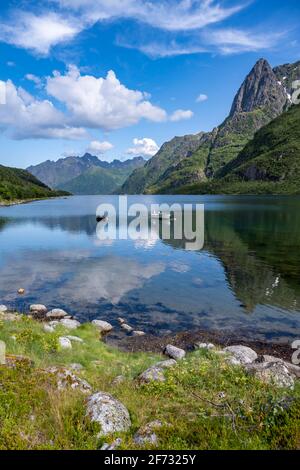 Fjord Higravfjord, montagnes au bord de la mer, Vesteralen, Nordland, Norvège Banque D'Images