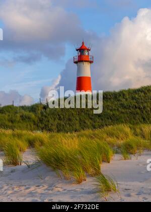 Phare rouge-blanc liste-Ost dans les dunes, lumière du soir, coude, Sylt, Île frisonne du Nord, Mer du Nord, Frise du Nord, Schleswig-Holstein, Allemagne Banque D'Images