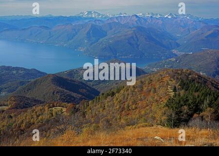 Vue de Monte Lema sur le lac majeur avec le massif de Monte Rosa au loin, Luino, Lombardie, Italie, Tessin, Suisse Banque D'Images