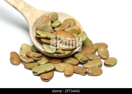 Fèves séchées de fava ( Vicia faba) ,, fèves, haricots de cheval, large soit un, Banque D'Images