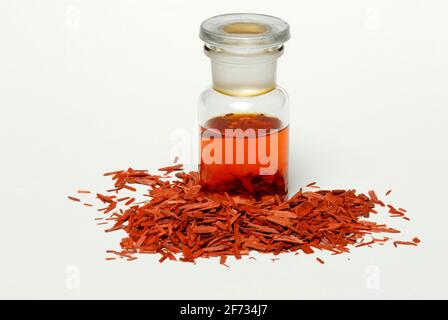 Pterocarpus santalinus (Pterocarpus santalinus) bois de santal, bois de potasse, bois fumé, colorant, santalin, colorant alimentaire, colorant textile Banque D'Images