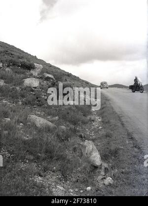 1956, historique, sur une route de campagne dans les montagnes écossaises, dans la région de Locahaber, un motocycliste s'arrête pour admirer la vue d'une grande vache à cornes debout sur le sol rocheux. Les bovins des Highlands sont synonymes d'Écosse avec leurs côtes déchiqueuses et leurs longues cornes. Race robuste conçue pour résister à l'humidité et au froid de la région écossaise éloignée, elle est la plus ancienne race de bétail enregistrée. Banque D'Images