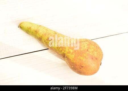 Une poire de conférence mûre biologique, douce et savoureuse, macro, sur le fond d'une table en bois naturel peint blanc. Banque D'Images