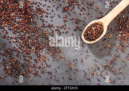 Graines de quinoa noir - Chenopodium quinoa. Banque D'Images