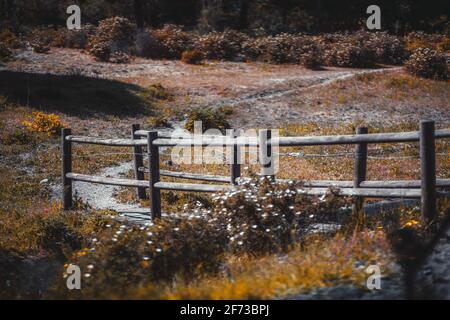 Paysage avec une faible profondeur de champ et un accent sélectif sur un petit pont en bois au-dessus du drain, avec un chemin de flexion entouré de graminées, flo Banque D'Images