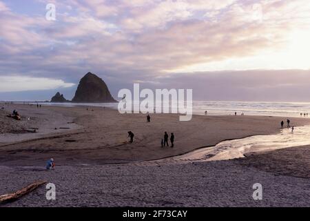 C'est le célèbre Haystack Rock à Cannon Beach sur la côte de l'Oregon. Il a été pris au coucher du soleil. Banque D'Images