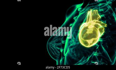 illustration 3d médicale, vue par rayons x des problèmes cardiaques humains Banque D'Images
