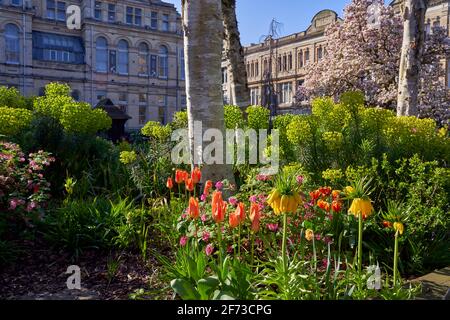 St John's Gardens au printemps, Cardiff, pays de Galles du Sud Banque D'Images