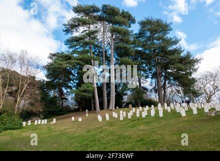 Le cimetière militaire de Netley est un cimetière militaire permanent. Il contient les restes de militaires tombés des deux guerres mondiales Banque D'Images