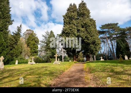 Le cimetière militaire de Netley est un cimetière militaire permanent. Il contient les restes de militaires tombés des deux guerres mondiales Banque D'Images