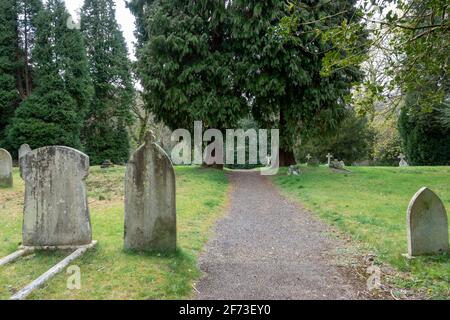 Le cimetière militaire de Netley est un cimetière militaire permanent. Il contient les restes de militaires tombés des deux guerres mondiales Banque D'Images