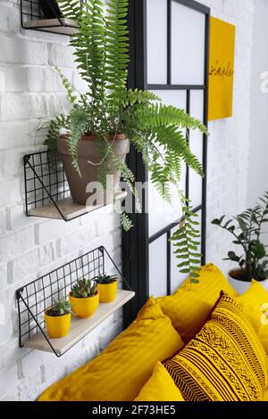 Intérieur de chambre moderne et élégante avec étagères et plantes de maison Banque D'Images