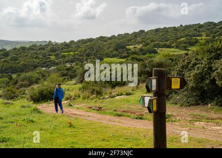 Un randonneur sur un sentier naturel dans la région d'Adullam en Israël, passant près d'un panneau de direction, un jour brumeux. Banque D'Images