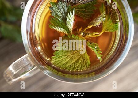 Orties dans une tasse de tisane, vue de dessus Banque D'Images