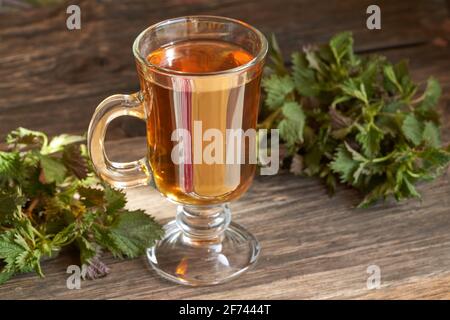 Une tasse de thé d'ortie avec jeune Urtica dioica frais usine Banque D'Images