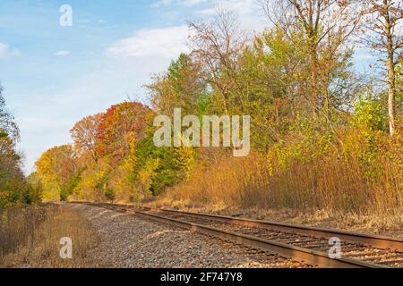 Couleurs d'automne le long d'un chemin de fer Lonely dans l'État de White Pines Parc dans l'Illinois Banque D'Images