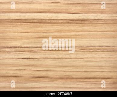 Fond de texture de bois blanc naturel. ARRIÈRE-plan EN bois DE COCOBOLO Banque D'Images