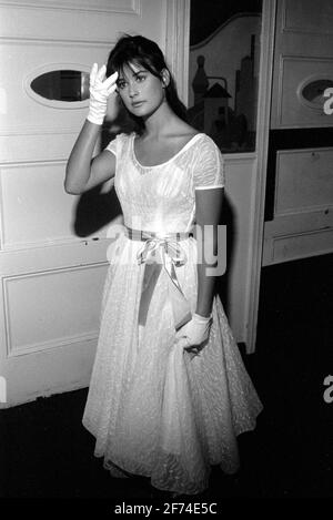 Demi Moore 6 juillet 1982 crédit : Ralph Dominguez/MediaPunch Banque D'Images