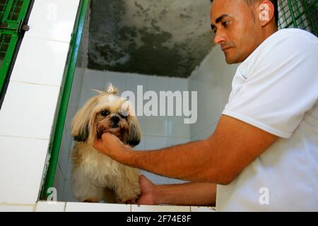 salvador, bahia / brésil - 31 décembre 2013: un maître de clinique prend soin d'un chien hébergé sur place. *** Légende locale *** . Banque D'Images