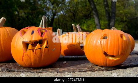 Citrouilles à l'extérieur effrayantes mais comiques pour Halloween Banque D'Images