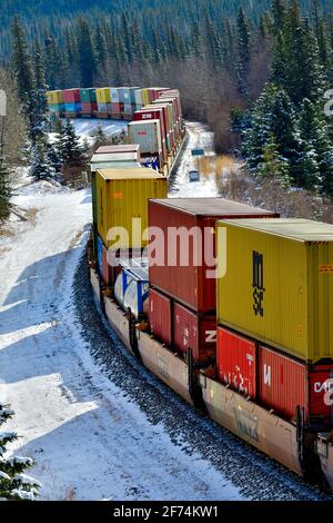 Un train de marchandises canadien National chargé de conteneurs se déplace dans un coin de rue dans une région boisée des montagnes rocheuses de l'Alberta Canada. Banque D'Images