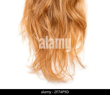 Boucles courbettes, cheveux déchiquetés, tête blonde sale comme texture isolée sur blanc Banque D'Images