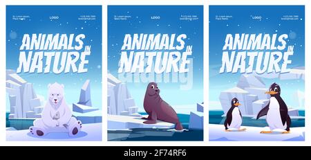 Affiches animaux dans la nature avec pingouin, ours polaire et phoque sur le floe. Tracts vectoriels de zoo ou de parc naturel avec illustration de dessins animés d'animaux sauvages de l'Antarctique, du pôle Nord et de l'Alaska Illustration de Vecteur