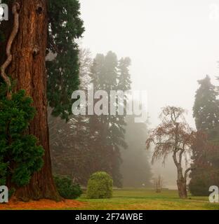 Palais de la ferme de San Ildefonso, Ségovie. Espagne. Jardins et palais, lever de soleil avec brouillard Banque D'Images