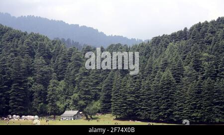 Touristes qui ont gelé dans la forêt de Khajjiar dans l'État De l'Himachal Pradesh en Inde Banque D'Images