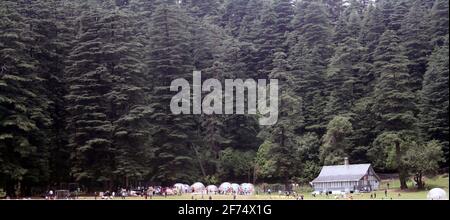 Touristes qui ont gelé dans la forêt de Khajjiar dans l'État De l'Himachal Pradesh en Inde Banque D'Images